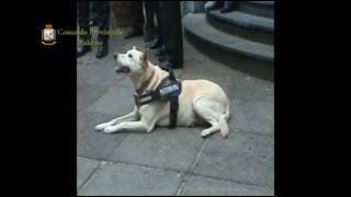 salerno-la-festa-della-guardia-di-finanza