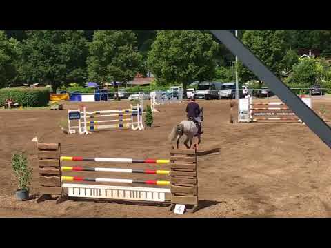 9j. holst. Wallach v. Clarimo