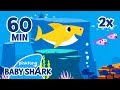 FASTER Baby Shark-1 hour | Baby Shark Medley | Baby Shark 1hour | +Compilation | Baby Shark Official