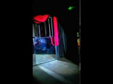 Taylor Madison Monroe performs @ Club Push - Grindr Mix