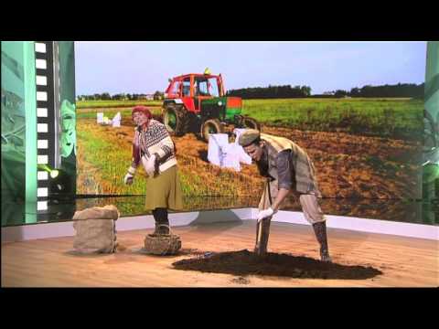 Audrius Janonis ir Neringa Nekrašiūtė – „Riešutų žydėjimas“