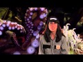 Fish Fact Fun DVD Trailer