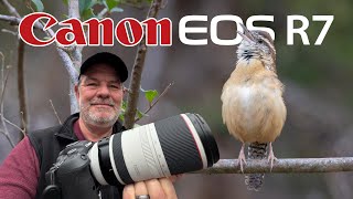 Canon R7 Bird Photography with 100-500 (Some landscape too 10-18)