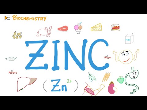 Your Body Needs Zinc (Zn)