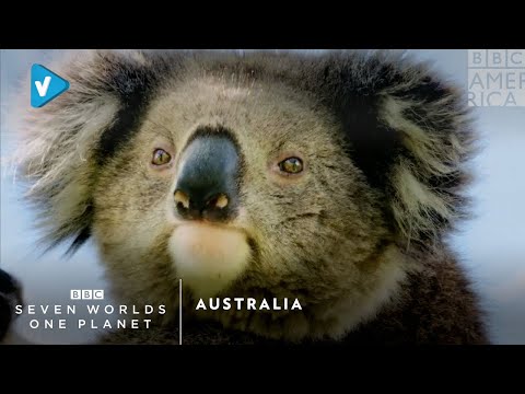 #BBC Guide: Australia | Saturday, January 18 at 9pm | Seven Worlds One Planet | BBC America