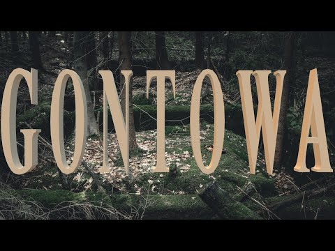 Riese Gontowa - spacer po lesie wrzesień 2022