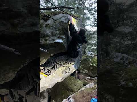 “Brain rot“ 8C/+ (Uncut)