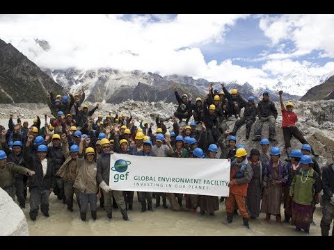 What is the Global Environment Facility (GEF)?