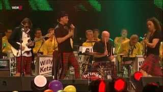 Brings - Polka Polka Polka 2014