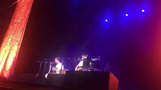 prospect hummer-animal collective