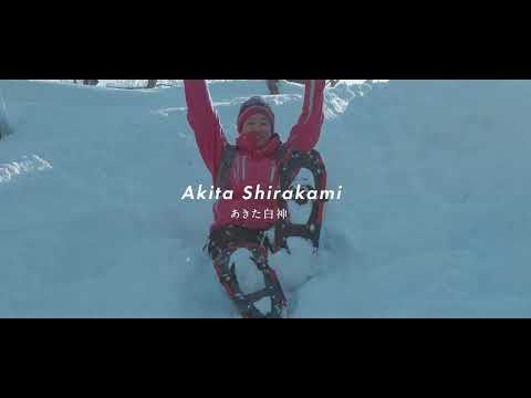 Snowshoeing at the foot of Shirakami Mountains – one of Japan’s first-ever world heritage sites!