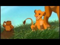 The Lion King The Morning Report Speed Up Slowed Down