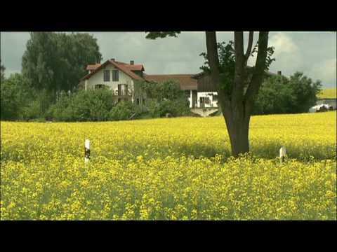 The BMW 5 Series Touring BMW 520d Driving shots country roads