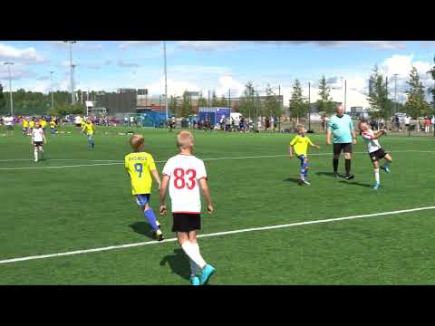 P10 Sibbo-Vargarna/gul - VJS pun1 (1/2)