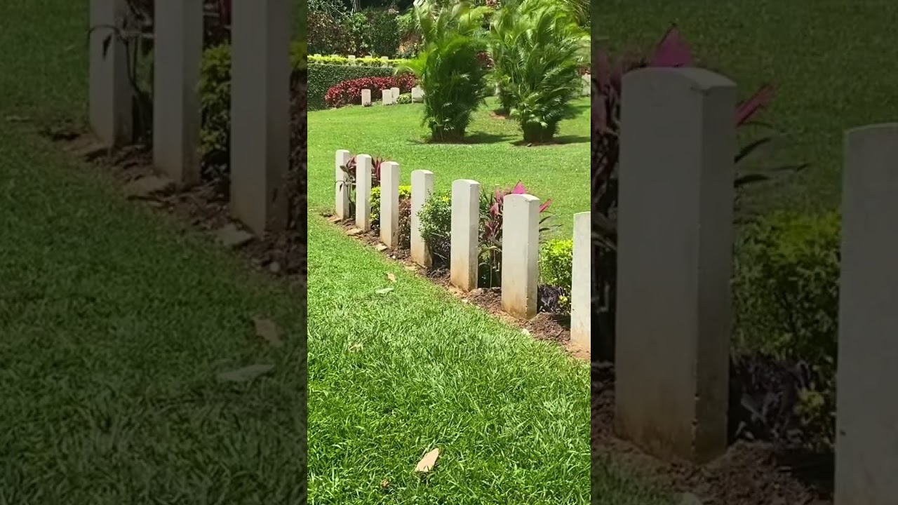 YouTube Short thumbnail