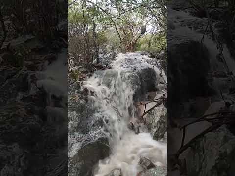 Cachoeira da Jacutinga em Bom Jesus da Serra-BA