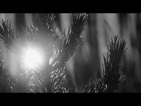 ThroDef, Georgia Kombou, Dimitris Papaggelidis - Ta Matoklada Sou Lampoun (ThroDef Remix)