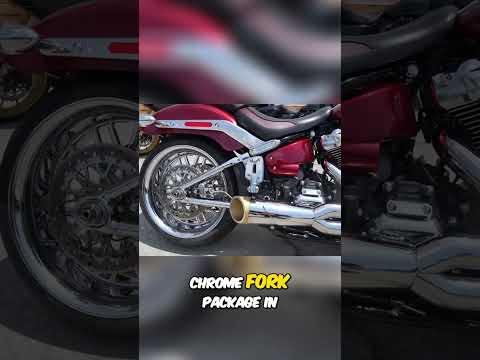 Chrome Wheels, Braided Brakes: Custom Motorcycle Build!