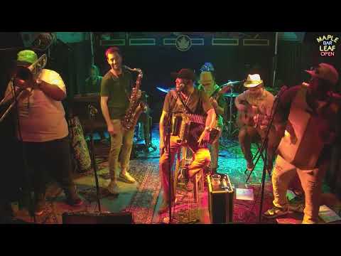 Jeffery Broussard & The Nighttime Syndicate - Roaches (Live at the Maple Leaf, 4-18-2025)