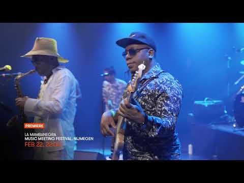 Stingray Festival 4K - Premieres February 2019 - Live from the Netherlands