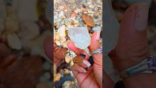 Download lagu nekat masuk hutan wanita ini temukan banyak batu permata 💎 mp3