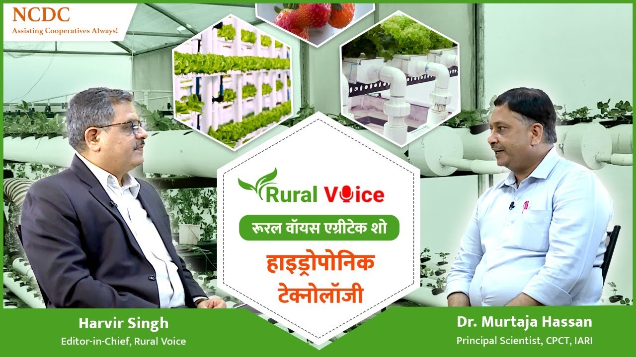 रूरल वॉयस विशेष: हाइड्रोपोनिक तकनीक से खेती में लीजिए 20 से 25  गुना ज्यादा पैदावार
