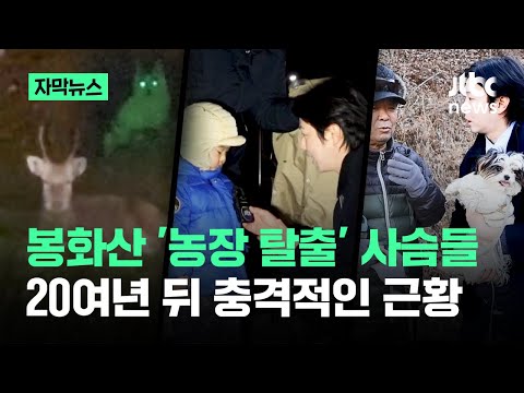 사슴아파트 주민 인터뷰