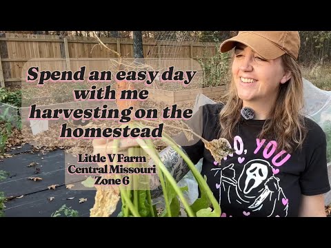 A low key day on the homestead. Harvesting peppers in October in central Missouri