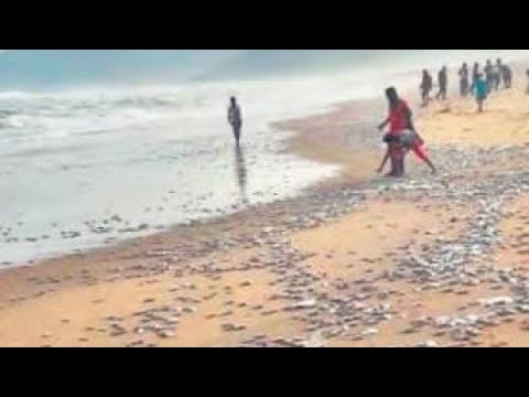 Last of the last days... Rapture close at hand