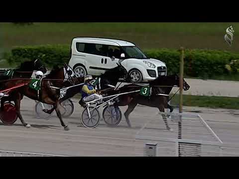 Aversa trotto 12 Aprile 2023 - 1° Corsa