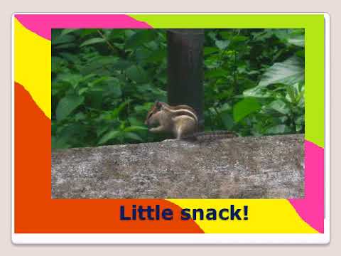 Children of mother nature