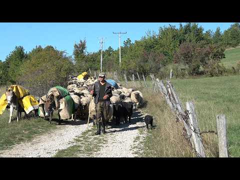 BRAĆA POPARIĆ POSLIJE 4 MJESECA POVRATAK KUĆI