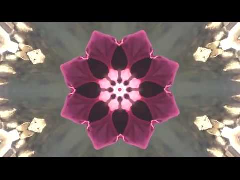 KB Leanin ft ISO - WORDPLAY - MUSIC VIDEO (sean alexander media prod.)