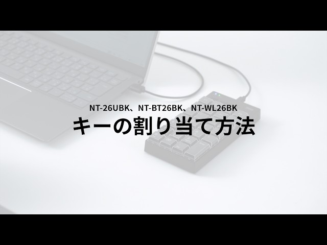NT-26UBK / プログラマブルテンキー(有線モデル)