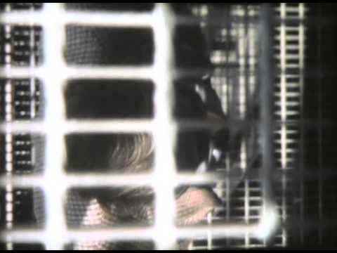 Alain Sayag (1984) by Gérard Courant - Cinématon #331