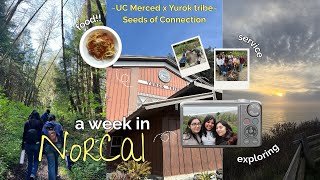 🌷☀️🌻 Spring Break’ 2026 (w/ UC Merced) in NorCal, Yurok Tribe Reservation, Community Service