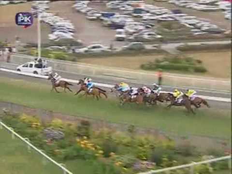 (iDates.mu) Disa Leader Winner Of The DUKE OF YORK CUP 2010