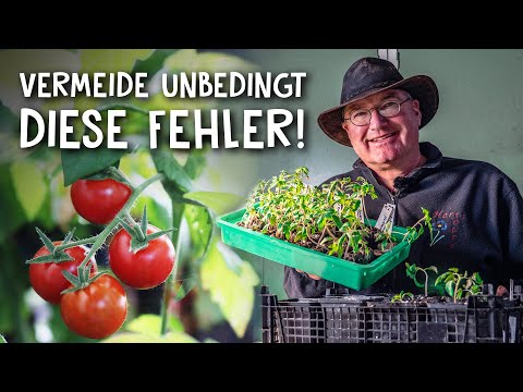 , title : 'Tomaten richtig aussäen, pikieren & pflegen 🍅 - Tipps & Tricks für eine erfolgreiche Anzucht'