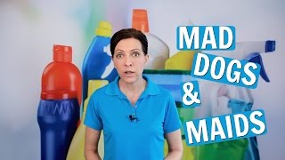 Mad Dogs and Maids - Aggressive Canine Behavior Towards House Cleaners ⭐⭐⭐⭐⭐