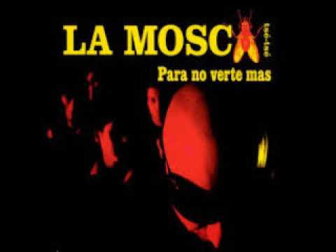 MOSCA TSE TSE BAILA PARA MI por Salvador Arguell