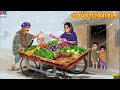 ठंड में हरी सब्जी वाला Hari Sabji Wala Hindi Kahani Moral Storie