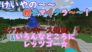 けいやの「親子マイクラ」実況part23　スケルトンホース発見！？&探索します！（2回目）