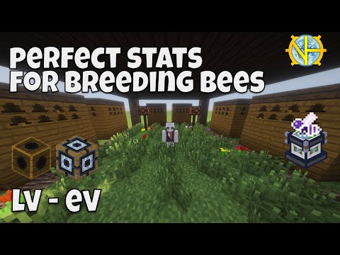 How to BEE the Best: Gregtech: New Horizons (LV - EV)