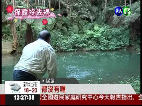 "侏儸紀"在南投? 深入叢林探險