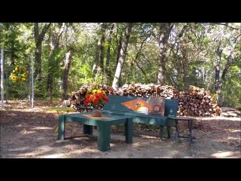 Bee in Beans --Video by Tina O