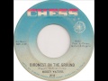Muddy Waters - Bird Nest on the Ground - Jason Stone Muddy Waters - Bird Nest on the Ground