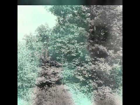 Last act - last act - Life without you