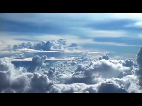 Little Auk - Wooly Clouds