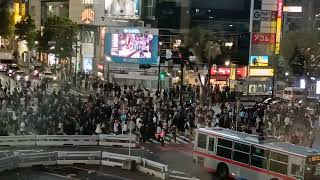 《’25.Oct.06》🚶‍➡️🚙🚥🚗🚶 #ShibuyaScrambleCrossing. ②