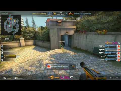 pulzG ACE vs Netland